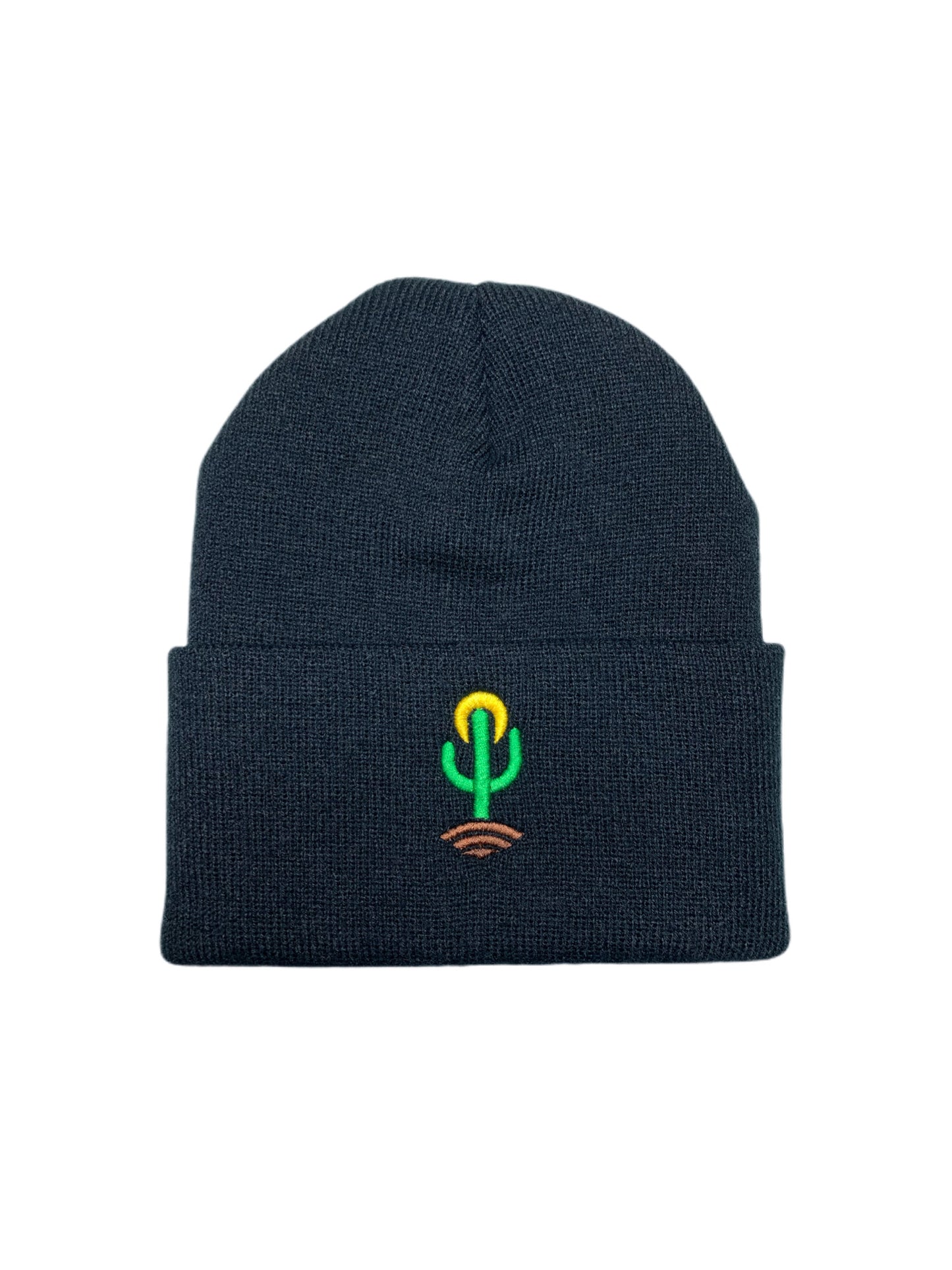 Saguaro Beanie