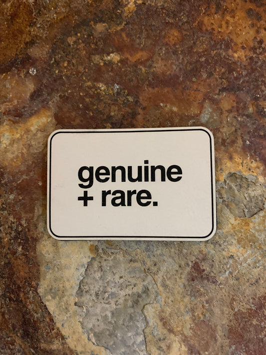 Positive Mindset Genuine Plus Rare  - VELPATCH 3" x 2" inch Hook Backed Patch