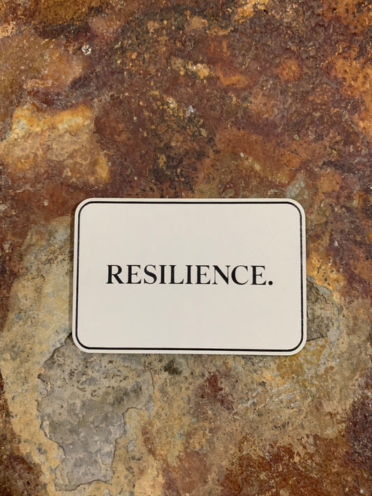 Positive Mindset Resilience  - VELPATCH 3" x 2" inch Hook Backed Patch