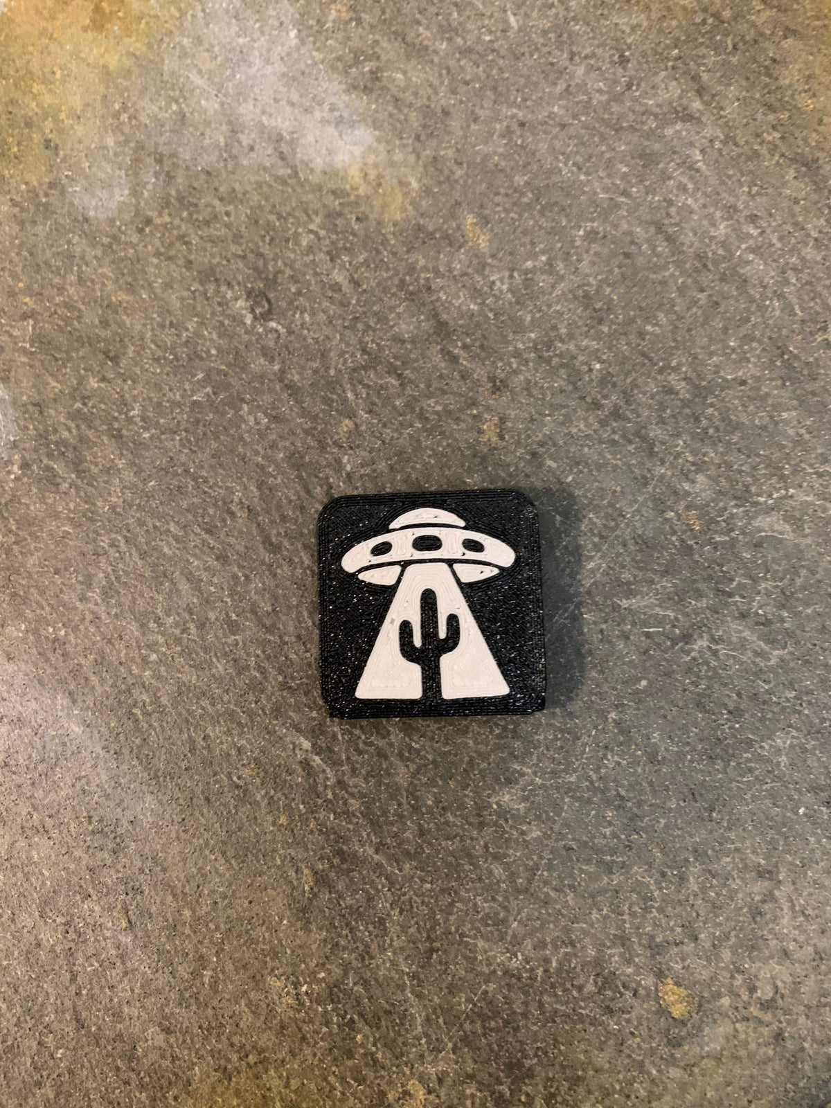 Orbit Cactus Hat Clip